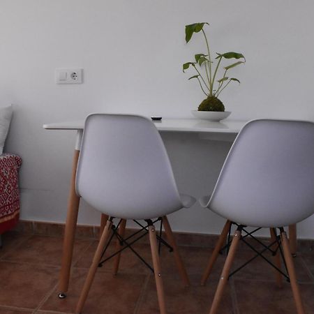 Apartamentos Les Palmeres Platja d'Aro Kültér fotó